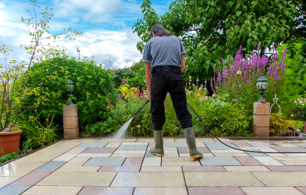 Best Sidewalk and Walkway Pressure Cleaning in Rockville, MN
